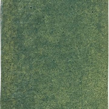 10206